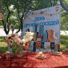 День дружбы соседей